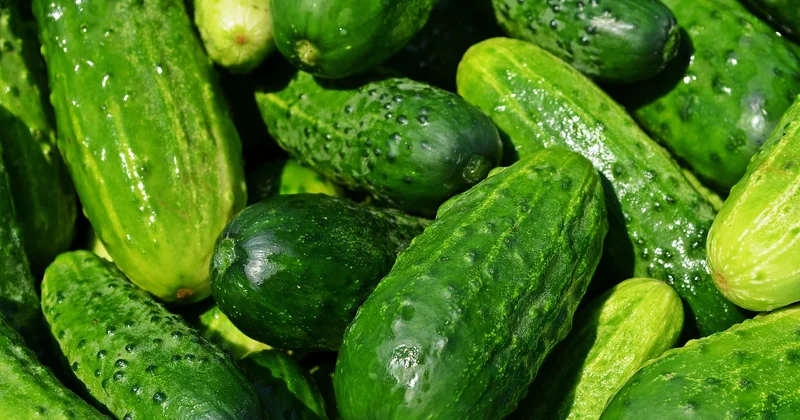 Les grands classiques qui justifient le détour