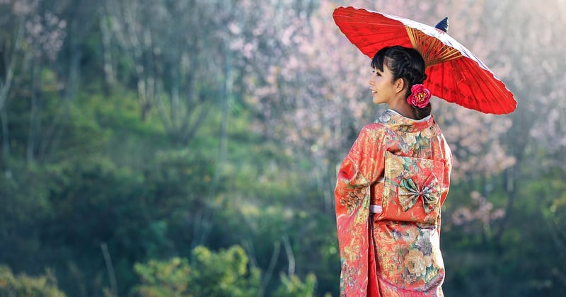 Dégustation de plats traditionnels japonais : un voyage culinaire à ne pas manquer